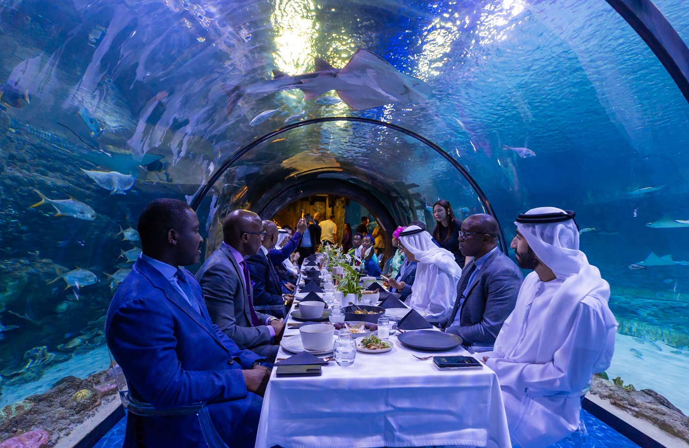 The National Aquarium Abu Dhabi Provides Home to two Manatees and initiates conservation project in West Africa: A Tale of Safeguarding their Species