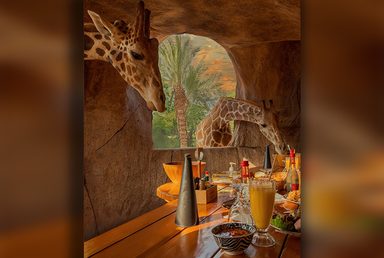 Have you ever imagined breaking your fast with a giraffe, an elephant, or a big cat?