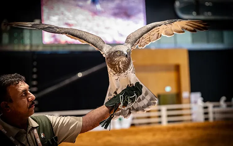 ADNEC Group Continues Preparations for the 22nd Edition of the Abu Dhabi International Hunting and Equestrian Exhibition