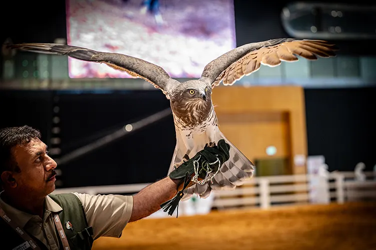 ADNEC Group Continues Preparations for the 22nd Edition of the Abu Dhabi International Hunting and Equestrian Exhibition