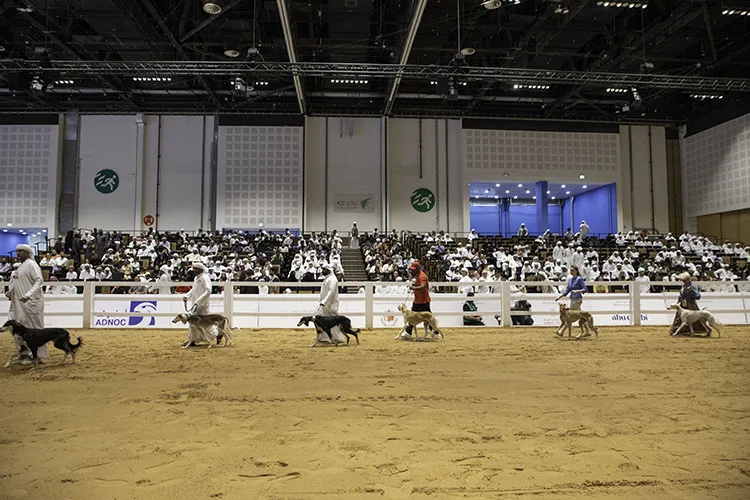 ADIHEX 2025 draw large crowds on penultimate day celebrating UAE’s heritage traditions