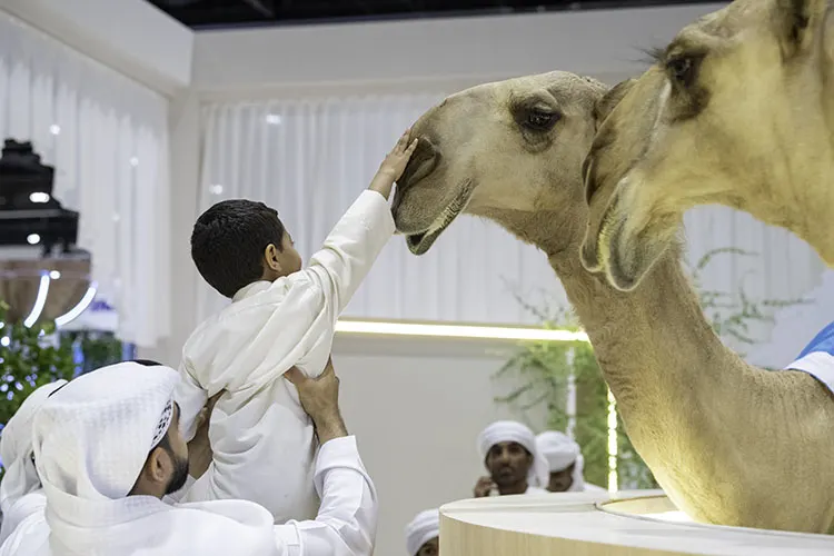 Abu Dhabi International Hunting and Equestrian Exhibition Showcases Advanced Veterinary Services and Specialised Educational Opportunities in Animal Science and Veterinary Medicine