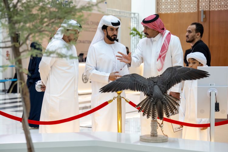 Held under the patronage of His Highness Sheikh Hamdan bin Zayed Al Nahyan, the First ADIHEX Falcon Auction Launches at ADNEC Centre Abu Dhabi with Strong Interest from Falconry Enthusiasts
